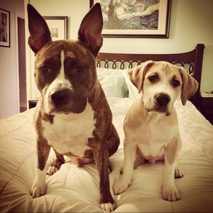 Meet your Posher, Danielle